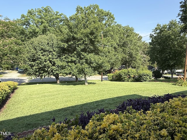 2909 Sprucewood Dr, Durham, NC 27707 - surrounding community featuring a lawn