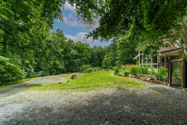 145 Ryan Rd, Pittsboro, NC 27312 - view of yard with a wooded view