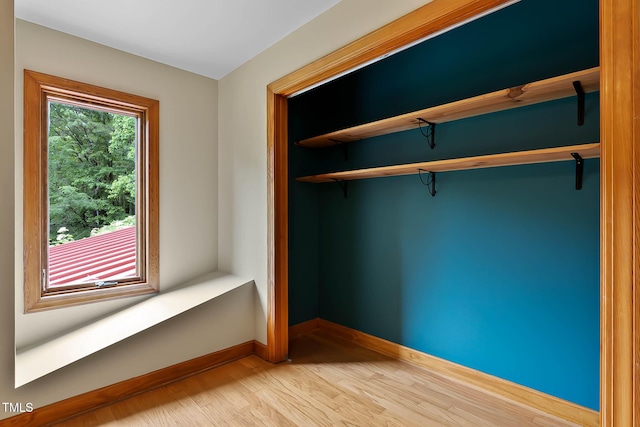 145 Ryan Rd, Pittsboro, NC 27312 - view of closet