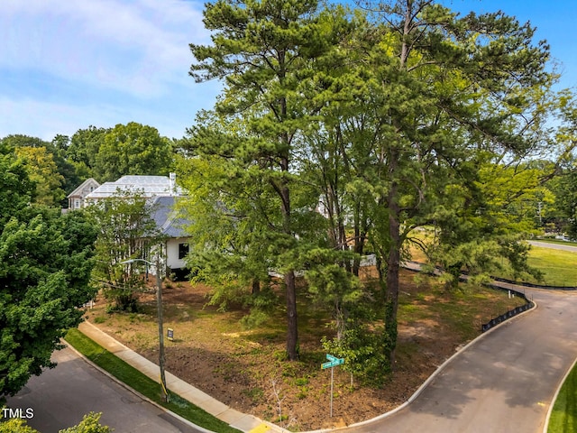 1504 Caswell St, Raleigh, NC 27608 - photo 5