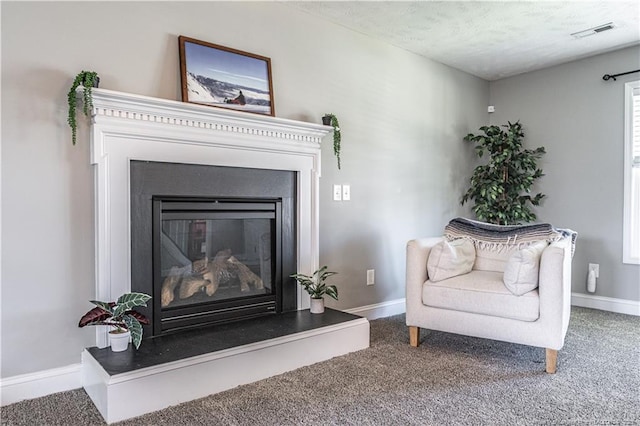 191 Trenton Pl, Cameron, NC 28326 - living area featuring baseboards, carpet floors, a glass covered fireplace, and a textured ceiling
