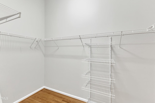 103 Kylie Savannah Ct, Cary, NC 27511 - spacious closet featuring wood finished floors