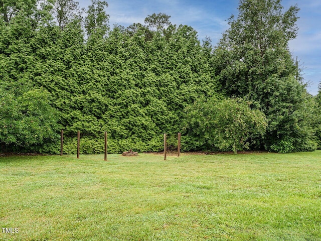 8204 Charlbert Ct, Apex, NC 27539 - view of grassy yard