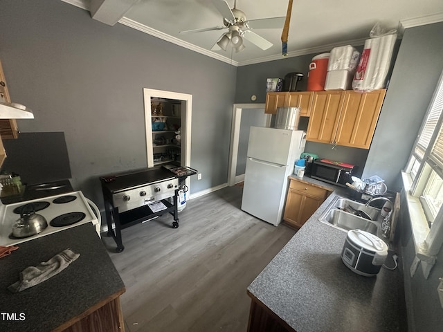 2511 Chapel Hill Rd, Durham, NC 27707 - kitchen featuring freestanding refrigerator, stainless steel microwave, a sink, ornamental molding, and ceiling fan