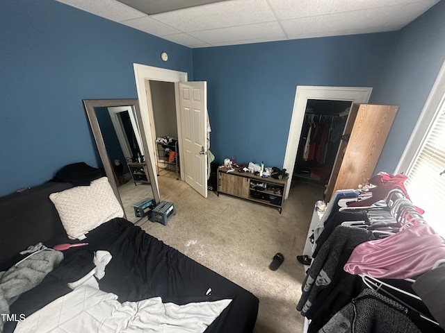 2511 Chapel Hill Rd, Durham, NC 27707 - bedroom with carpet floors and a paneled ceiling