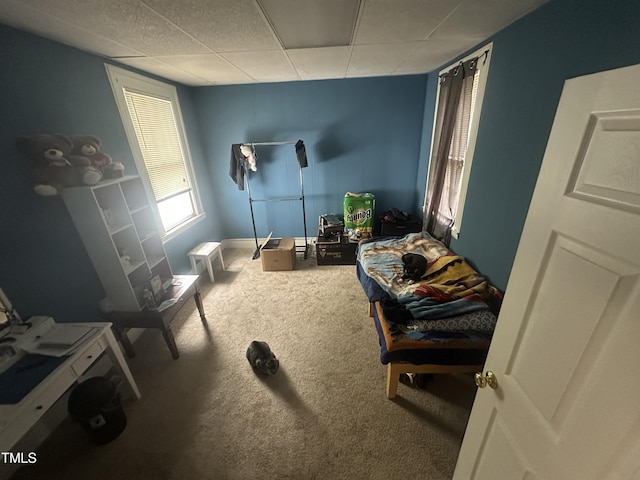 2511 Chapel Hill Rd, Durham, NC 27707 - living area featuring carpet, a paneled ceiling, and baseboards