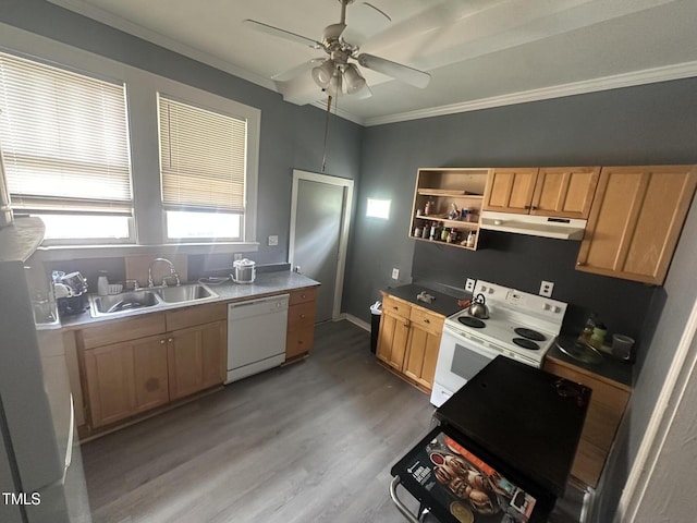 2511 Chapel Hill Rd, Durham, NC 27707 - kitchen with white appliances, a sink, under cabinet range hood, crown molding, and ceiling fan