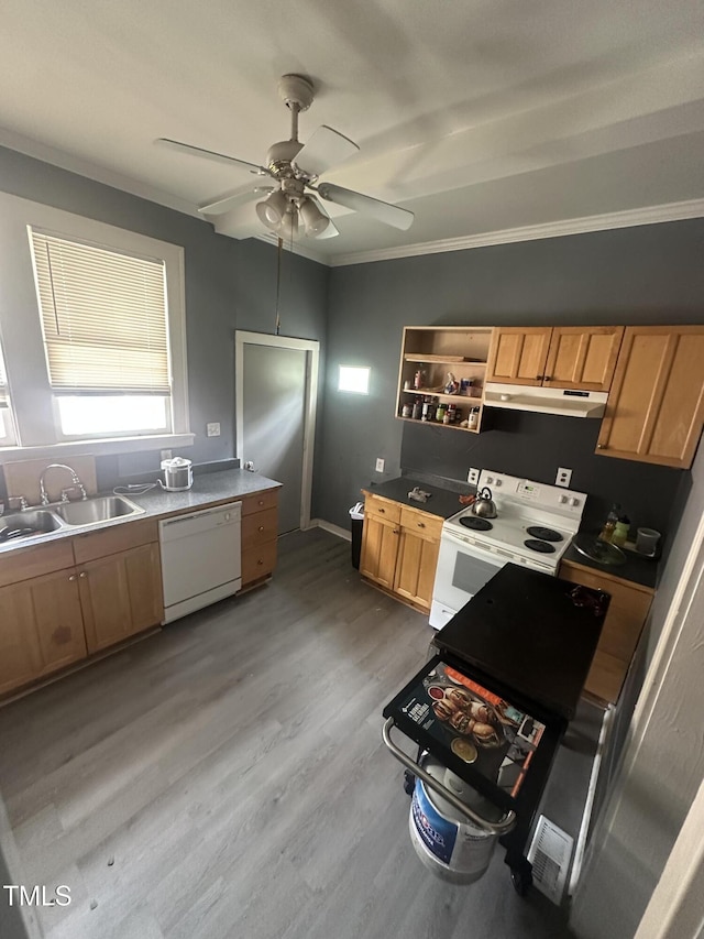 2511 Chapel Hill Rd, Durham, NC 27707 - kitchen featuring white appliances, under cabinet range hood, a ceiling fan, a sink, and open shelves