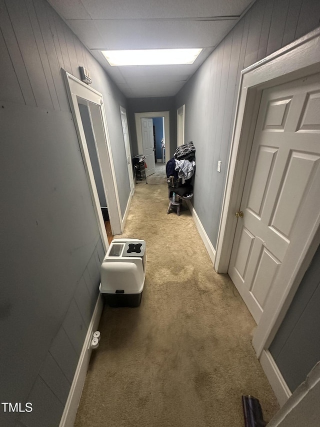 2511 Chapel Hill Rd, Durham, NC 27707 - corridor with light carpet, wood walls, and baseboards