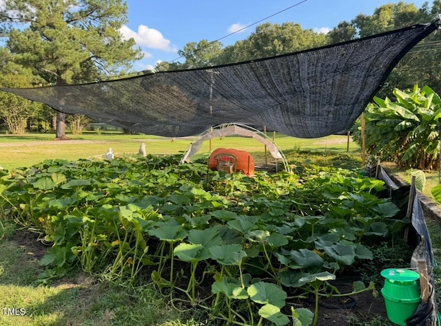 5437 Grasshopper Rd, Raleigh, NC 27610 - view of grassy yard