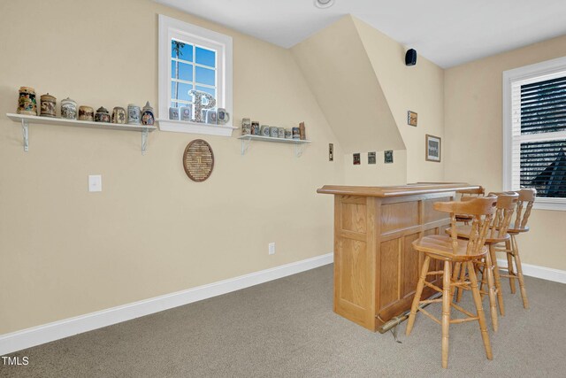 498 Mountain Laurel, Chapel Hill, NC 27517 - indoor dry bar featuring baseboards and carpet flooring