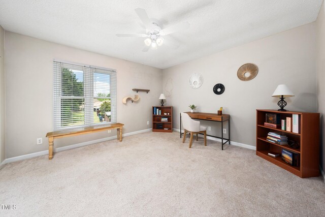 46 Sparger Springs Ln, Durham, NC 27705 - photo 10