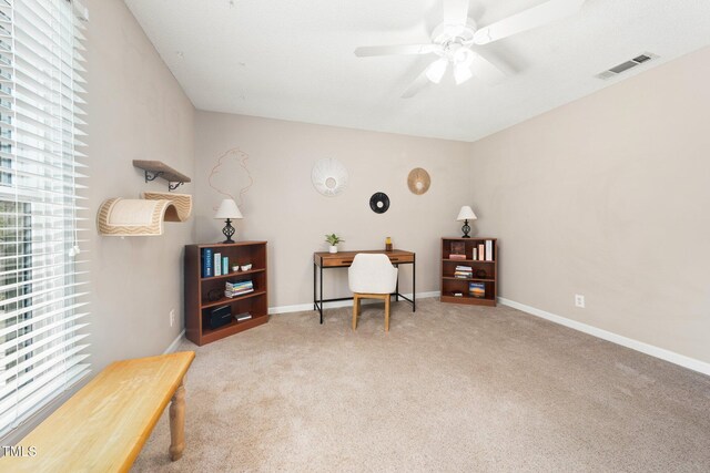 46 Sparger Springs Ln, Durham, NC 27705 - photo 11
