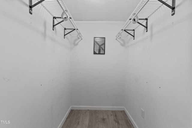 282 Cooke Rd, Louisburg, NC 27549 - walk in closet with wood finished floors