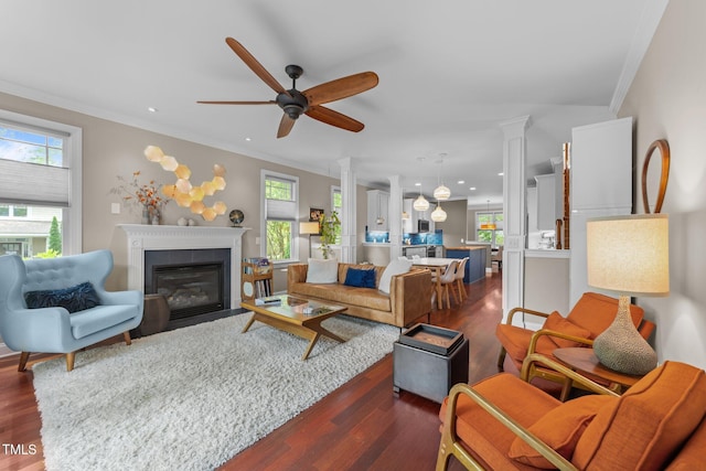 10579 Evergreen Spring Pl, Raleigh, NC 27614 - living area with decorative columns, dark wood-type flooring, ceiling fan, crown molding, and a fireplace