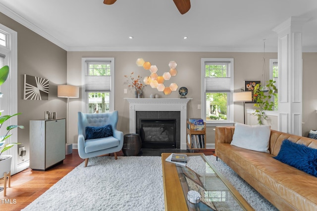 10579 Evergreen Spring Pl, Raleigh, NC 27614 - living room with ceiling fan, wood finished floors, ornamental molding, a tiled fireplace, and recessed lighting