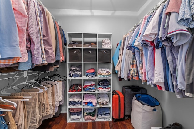 10579 Evergreen Spring Pl, Raleigh, NC 27614 - spacious closet with wood finished floors