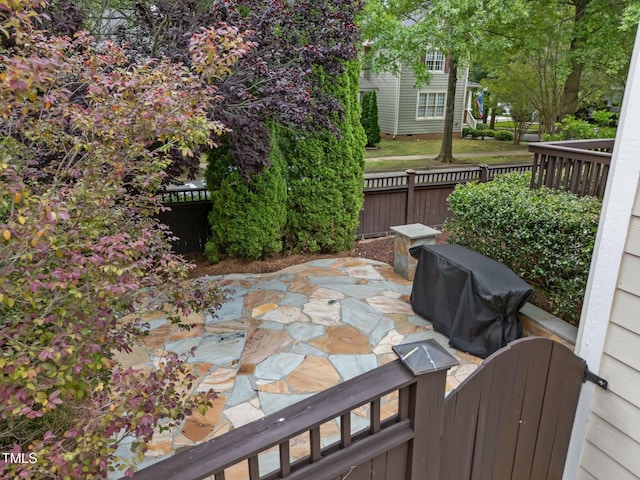 10579 Evergreen Spring Pl, Raleigh, NC 27614 - view of patio / terrace