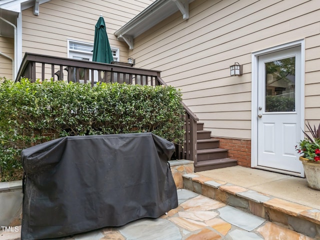 10579 Evergreen Spring Pl, Raleigh, NC 27614 - view of patio featuring grilling area