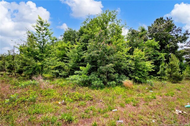 0 Monroe St, Spring Lake, NC 28390