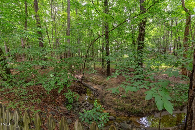 7 Hitching Rack Ct, Durham, NC 27713