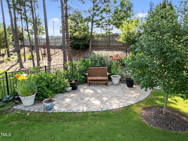 461 Cedar Pond Ct, Knightdale, NC 27545 - view of patio