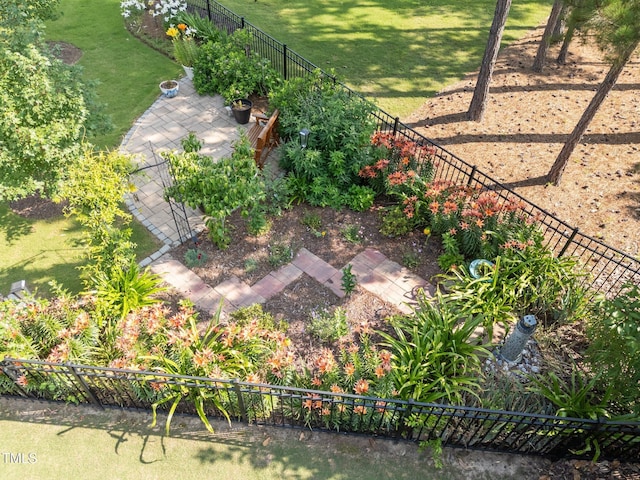 461 Cedar Pond Ct, Knightdale, NC 27545 - view of yard