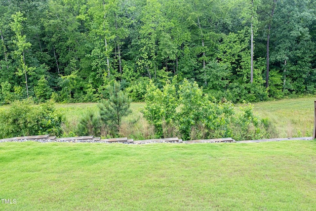 1950 Menet St, Apex, NC 27502 - view of green lawn featuring a view of trees