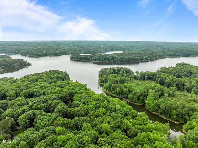 1501 Chatsworth Ln, Raleigh, NC 27614 - bird's eye view of a heavily wooded area and a large body of water