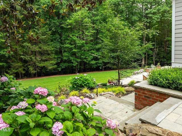 1501 Chatsworth Ln, Raleigh, NC 27614 - view of yard with a patio