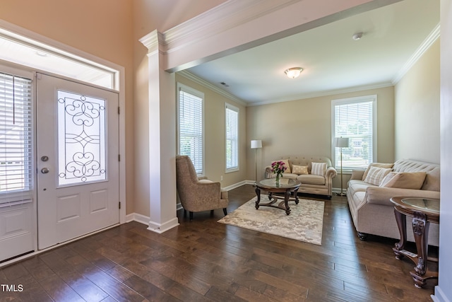 367 Tayside St, Clayton, NC 27520 - entryway with crown molding, dark wood-style flooring, and baseboards