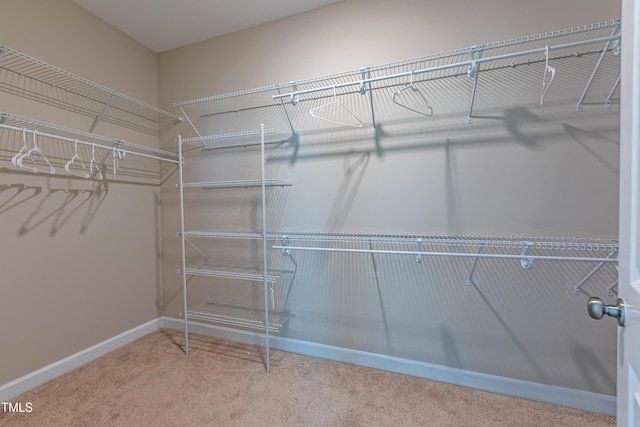 367 Tayside St, Clayton, NC 27520 - spacious closet with carpet floors