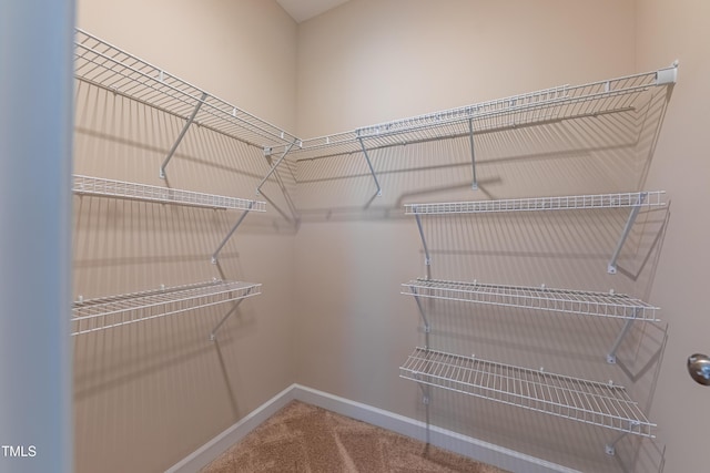 367 Tayside St, Clayton, NC 27520 - spacious closet featuring carpet