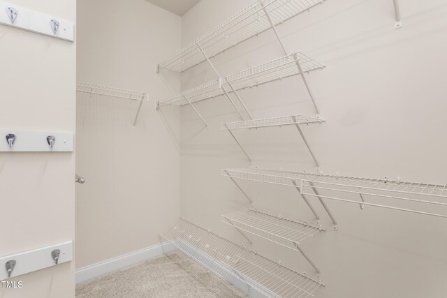 4110 Argyle Trl, Burlington, NC 27215 - walk in closet featuring carpet floors