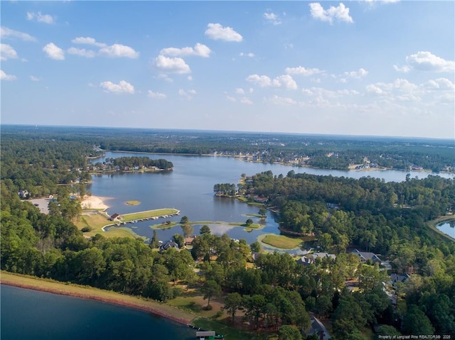 38 E Lndg, Sanford, NC 27332 - aerial overview of property's location featuring a large body of water and a forest