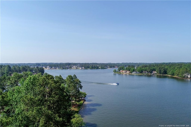38 E Lndg, Sanford, NC 27332 - water view