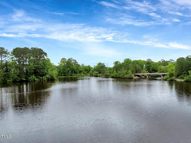 2426 Heron Watch Pl, Fuquay Varina, NC 27526 - photo 43
