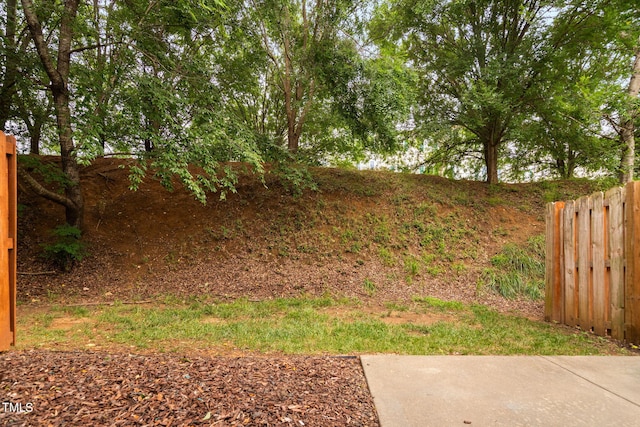 10941 Pendragon Pl, Raleigh, NC 27614 - view of yard
