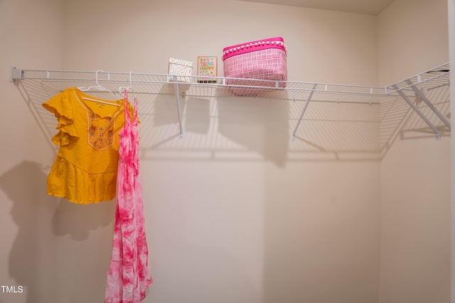 140 Enfield Dr, Carthage, NC 28327 - view of walk in closet
