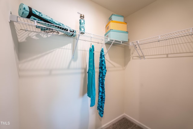 140 Enfield Dr, Carthage, NC 28327 - walk in closet featuring carpet