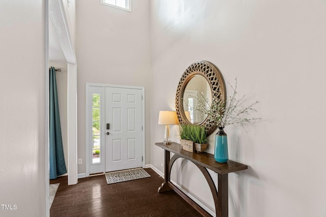 105 Putters Ct, Durham, NC 27703 - entrance foyer featuring hardwood / wood-style flooring, healthy amount of natural light, and a high ceiling