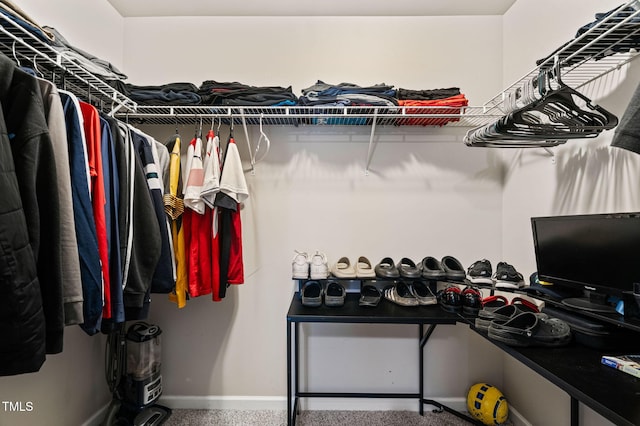 105 Putters Ct, Durham, NC 27703 - spacious closet featuring carpet