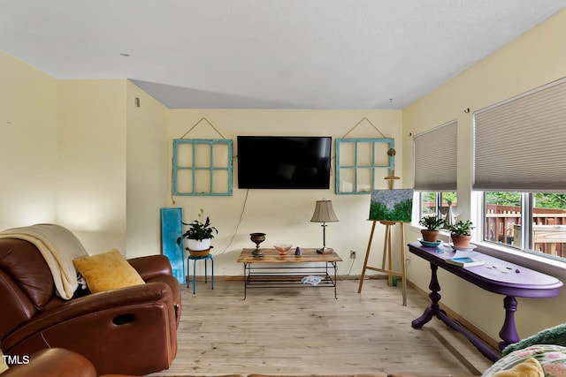 5931 Farm Gate Rd, Raleigh, NC 27606 - living room featuring wood finished floors and baseboards