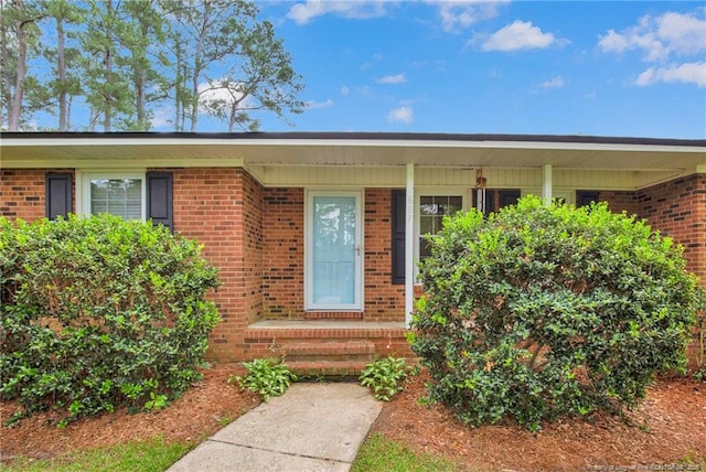 687 Blawell St, Stedman, NC 28391 - property entrance with brick siding