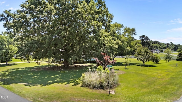 200 Mint Ct, Goldsboro, NC 27530 - view of property's community with a lawn