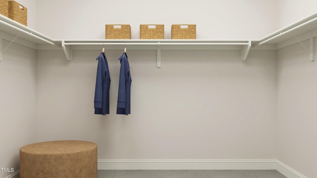 880 Cassa Clubhouse Way, Knightdale, NC 27545 - view of spacious closet