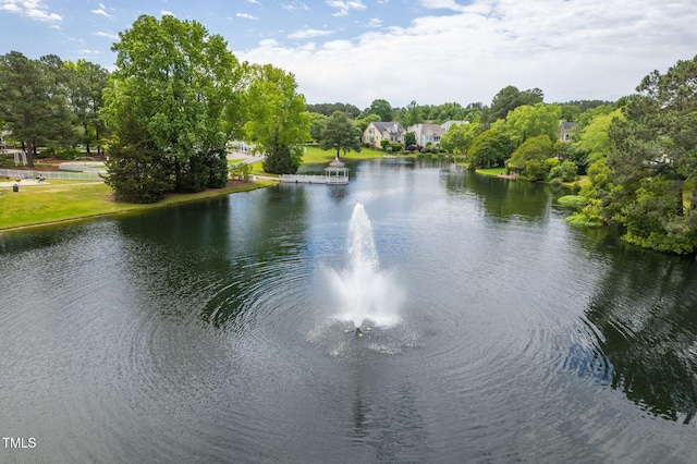 704 Walcott Way, Cary, NC 27519 - water view with a tree filled landscape