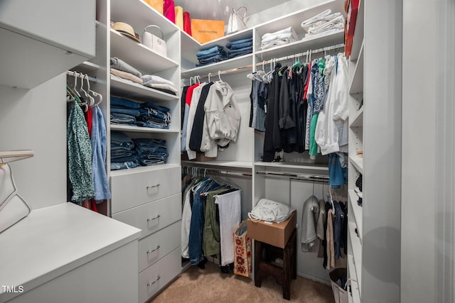 4409 All Points View Way, Raleigh, NC 27614 - walk in closet featuring light colored carpet