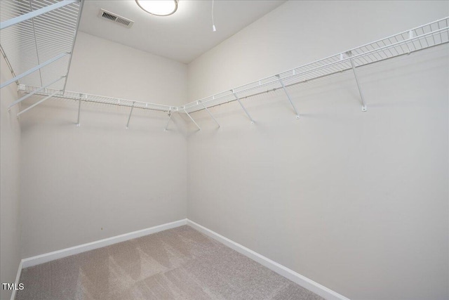 404 Straywhite Ave, Apex, NC 27539 - walk in closet featuring carpet flooring