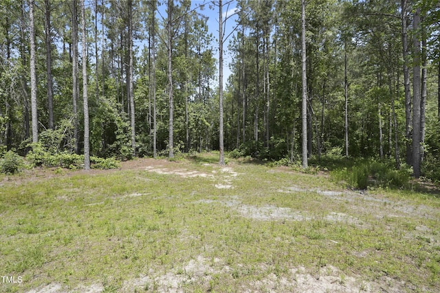124 Teagarden Ct, Sanford, NC 27332 - view of wooded area